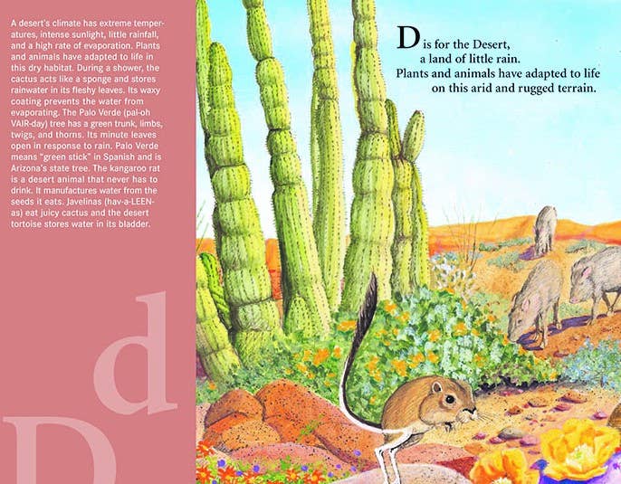 G is for Grand Canyon picture book: An ARIZONA Alphabet