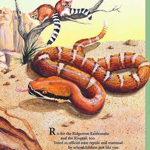 G is for Grand Canyon picture book: An ARIZONA Alphabet