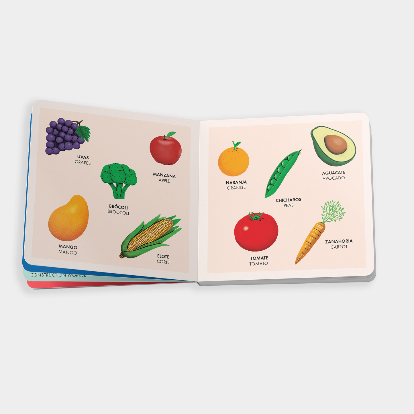 Blue Star Press - My Big Bilingual Book of First Words (English & Spanish)
