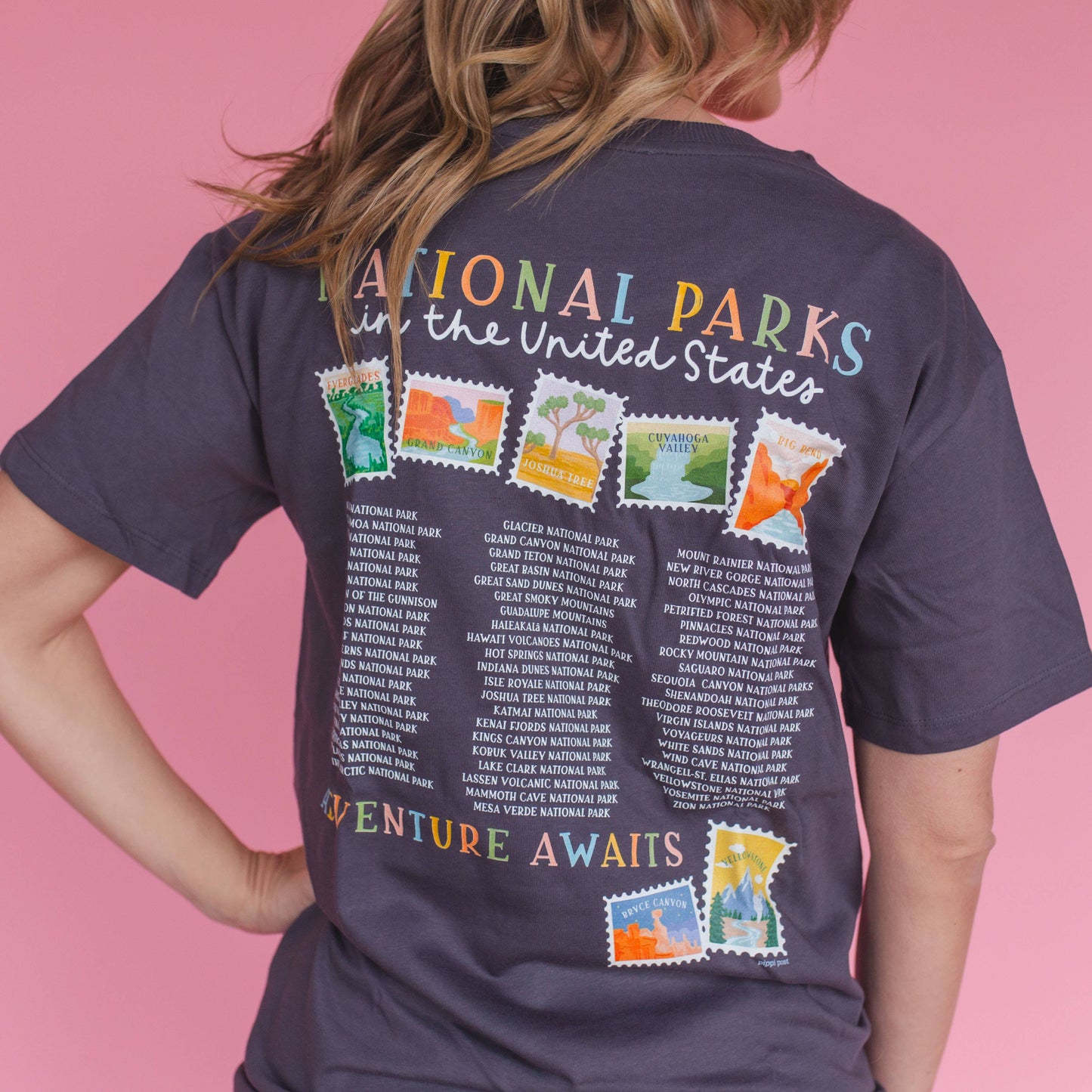 Pippi Post - I Love National Parks - Pippi Tee - Dark Gray