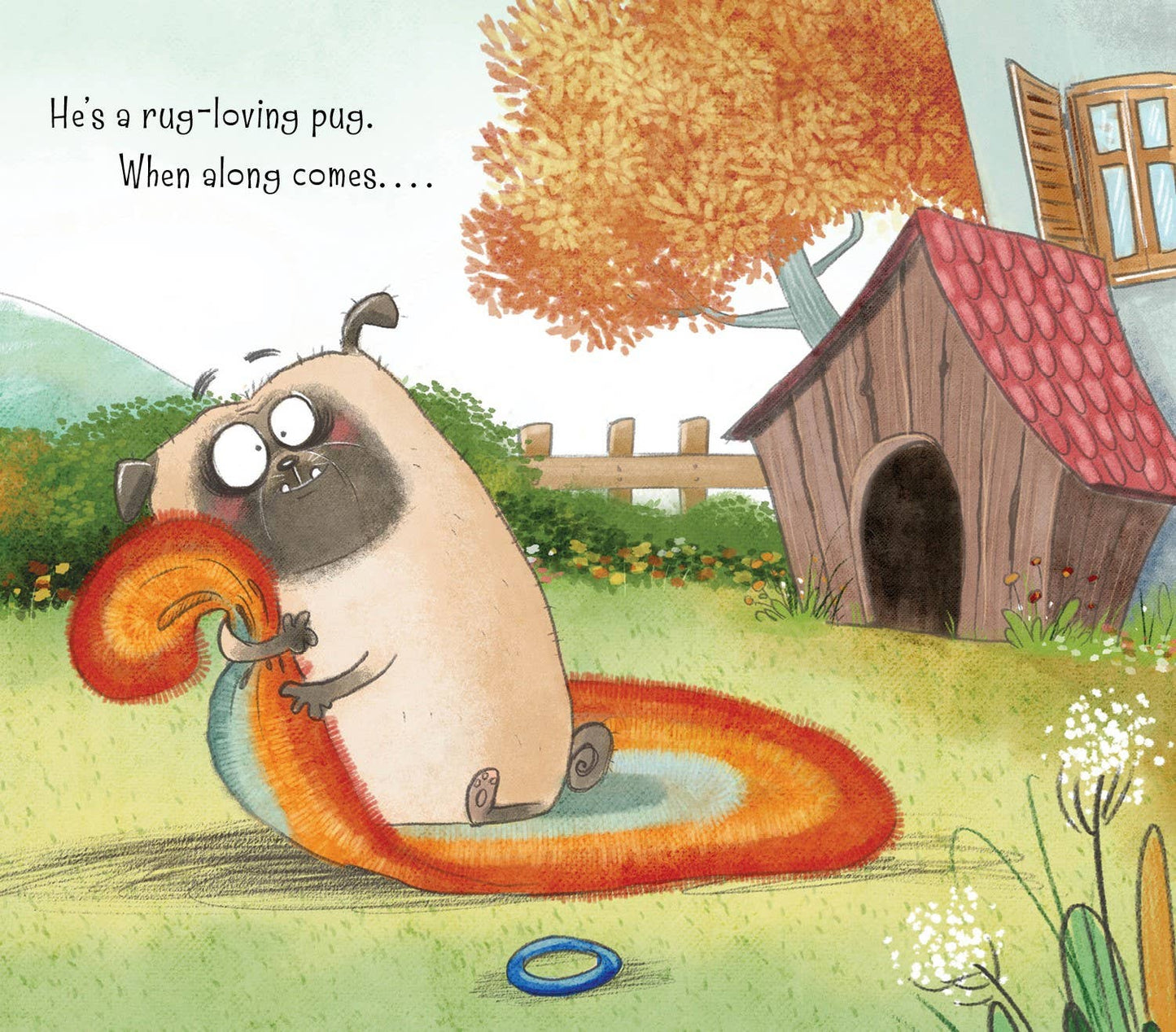 Bug on the Rug picture book