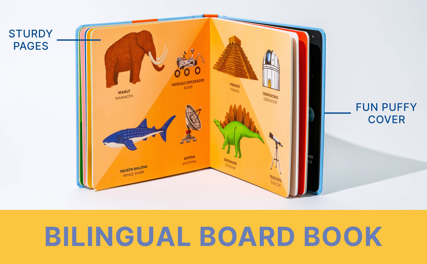 Blue Star Press - My Big Bilingual Book of First Words (English & Spanish)