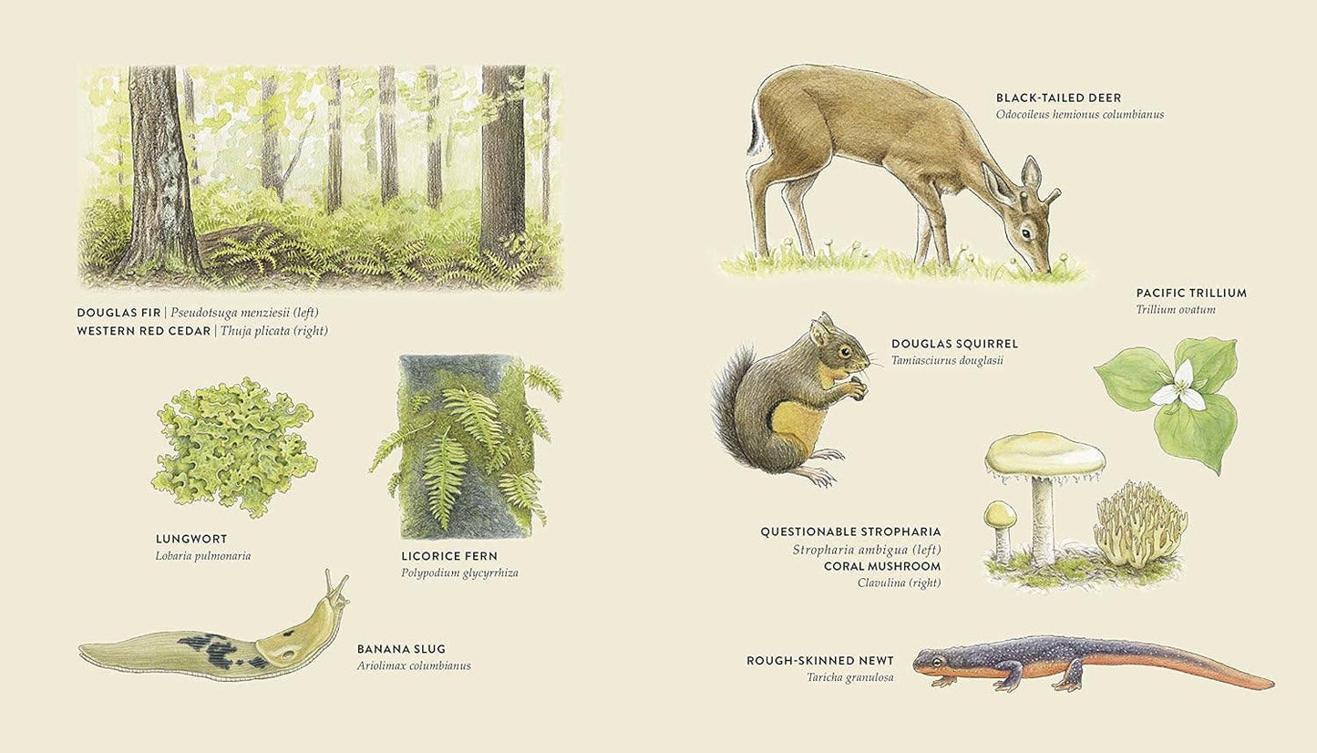 Blue Star Press - Curious Kids Nature Guide: Explore the Pacific Northwest
