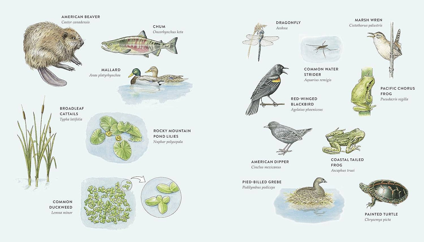 Blue Star Press - Curious Kids Nature Guide: Explore the Pacific Northwest