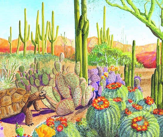 G is for Grand Canyon picture book: An ARIZONA Alphabet