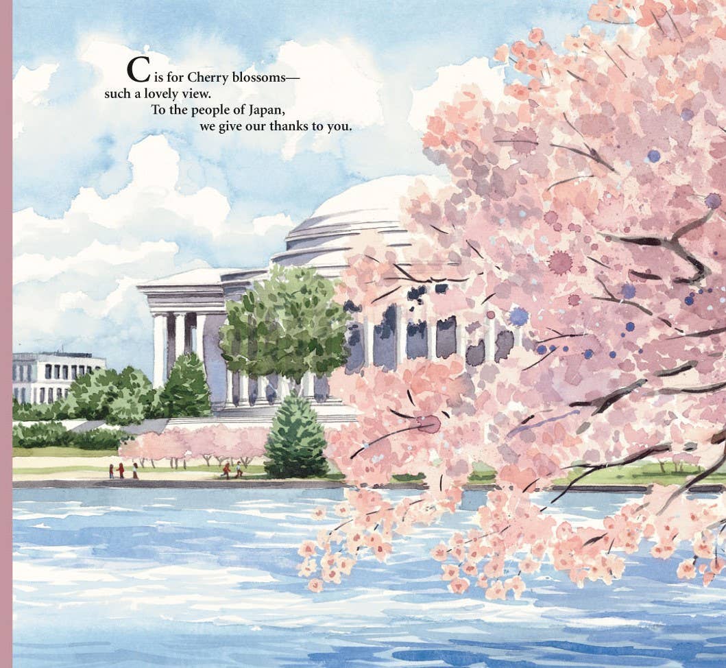 A Washington DC picture book: N is for our Nation's Capital