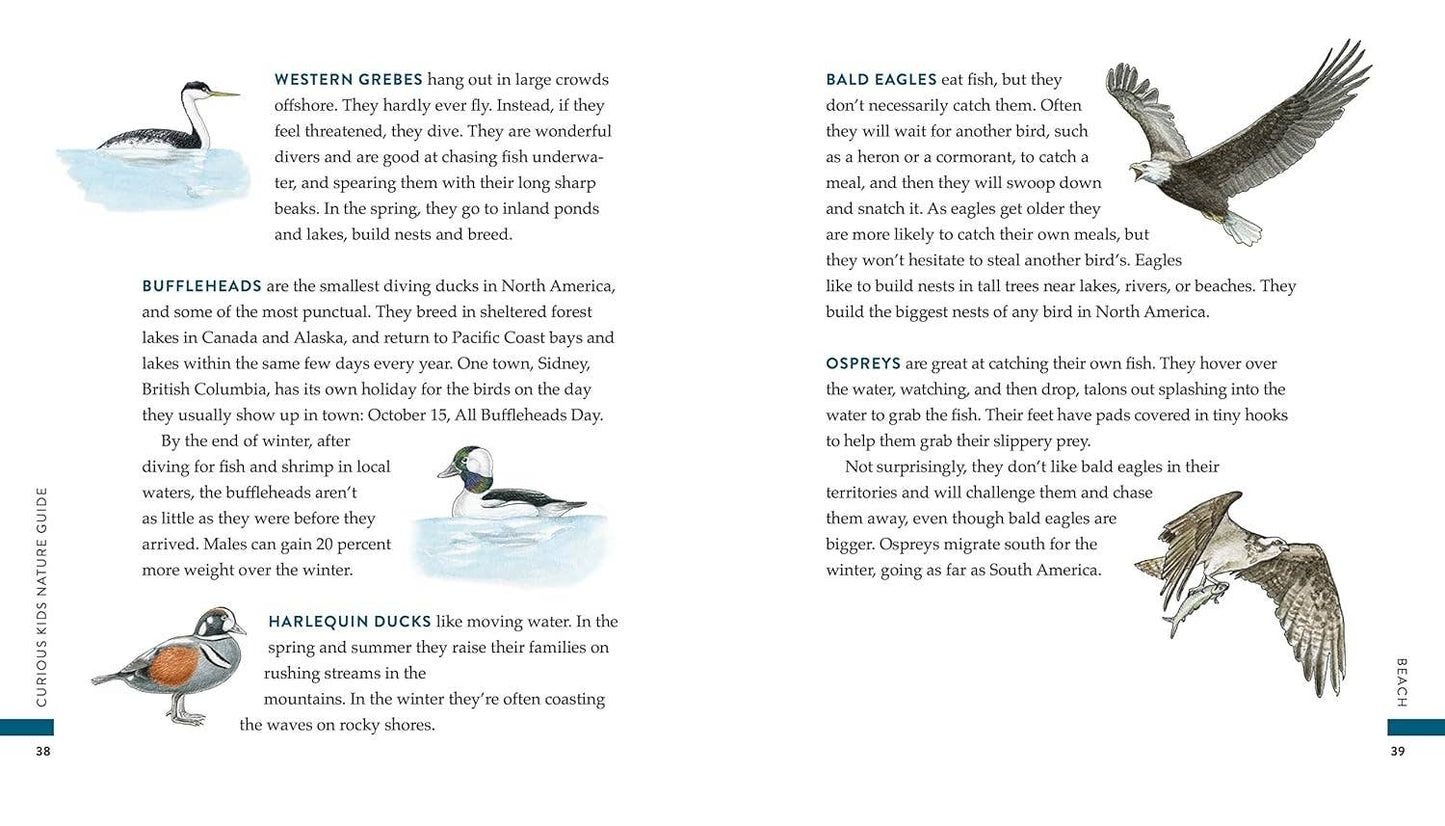 Blue Star Press - Curious Kids Nature Guide: Explore the Pacific Northwest