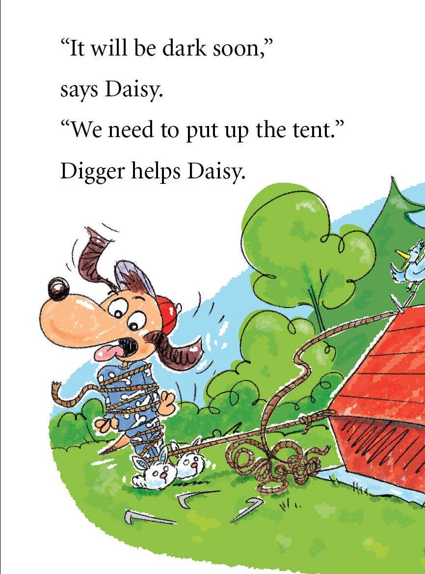 Digger and Daisy Go Camping picture book