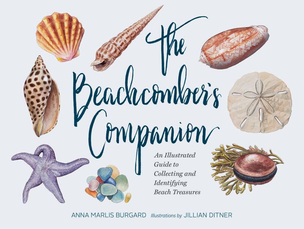 Chronicle Books - The Beachcomber's Companion