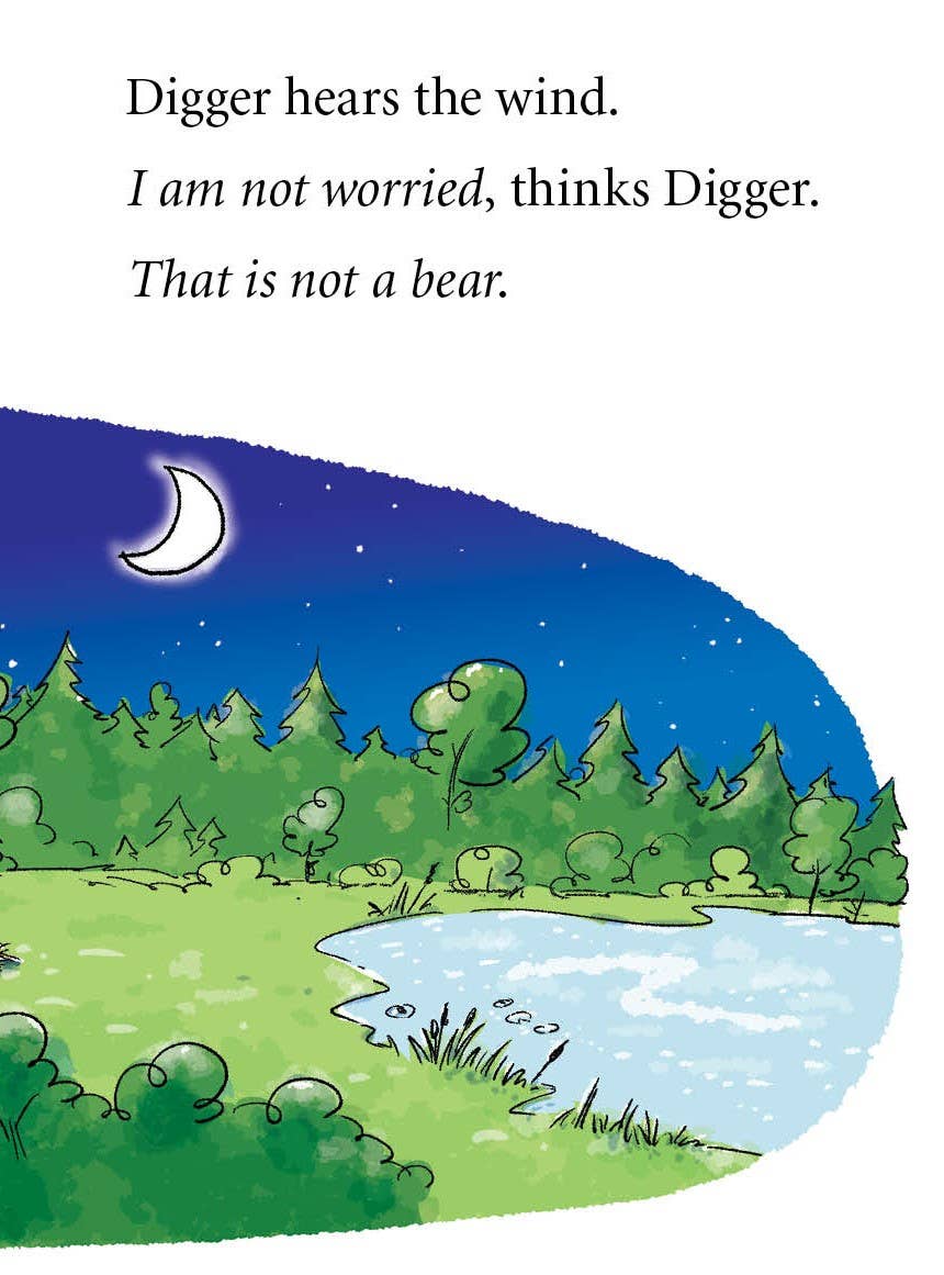 Digger and Daisy Go Camping picture book