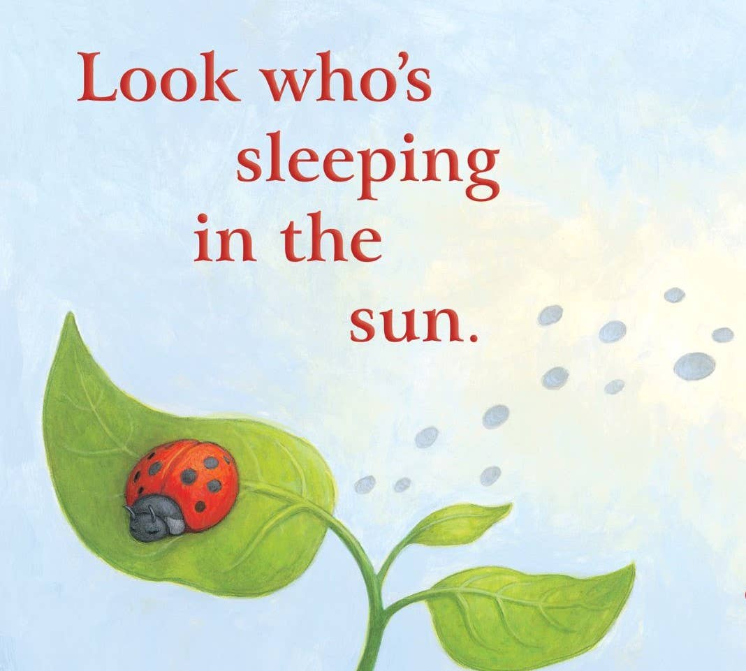 What's Looking at You, Kid? picture book