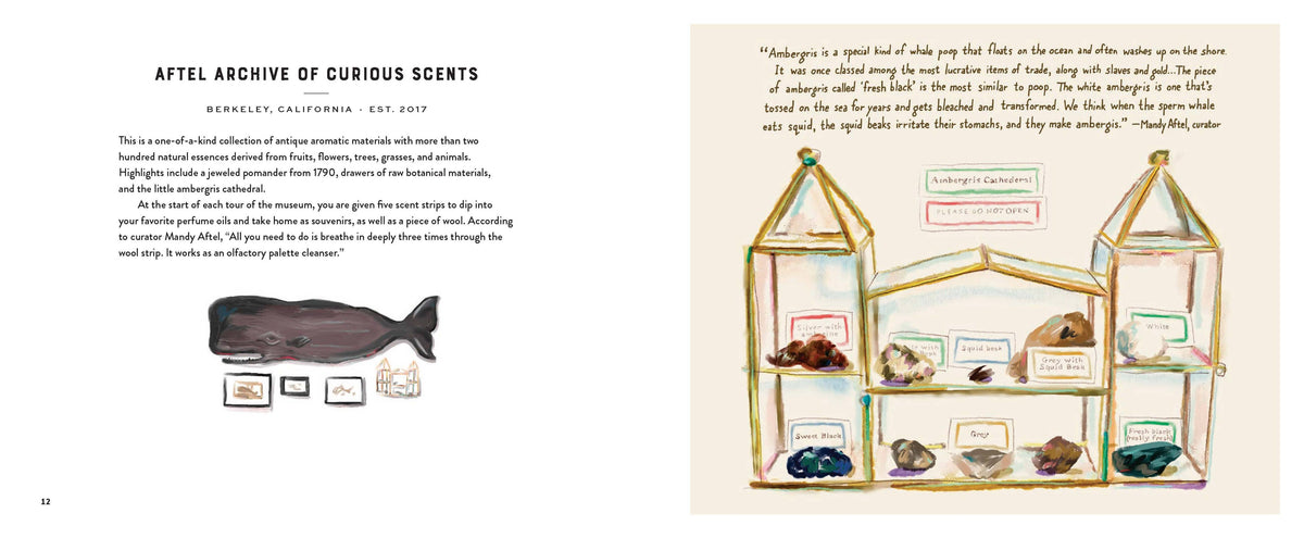 Chronicle Books - Footnotes from the Most Fascinating Museums