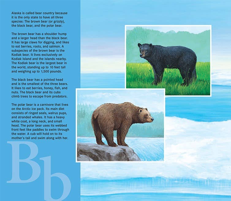 An ALASKA picture book: L is for Last Frontier