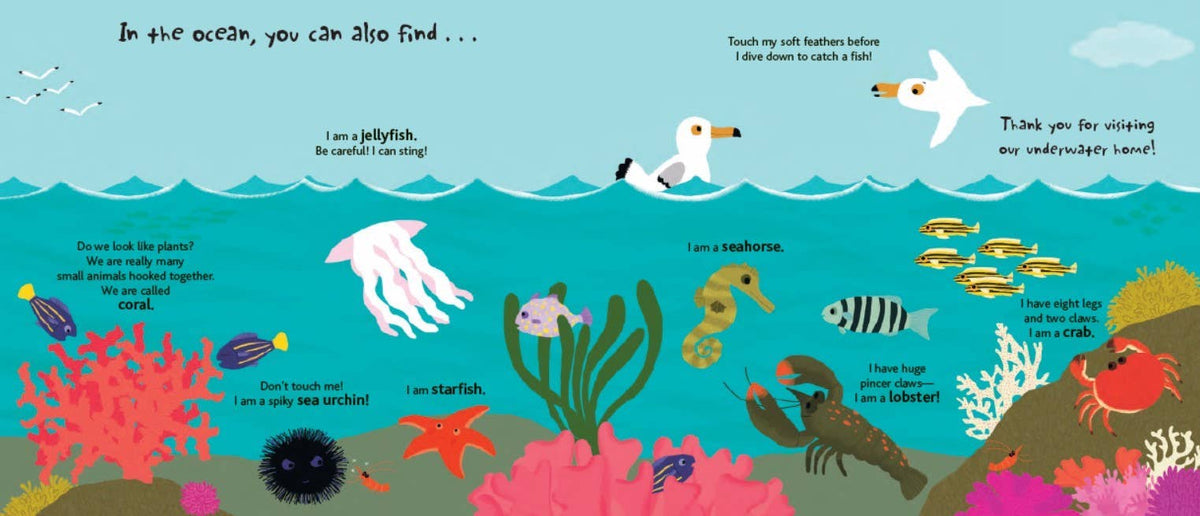 Chronicle Books - Touch and Explore: The Ocean