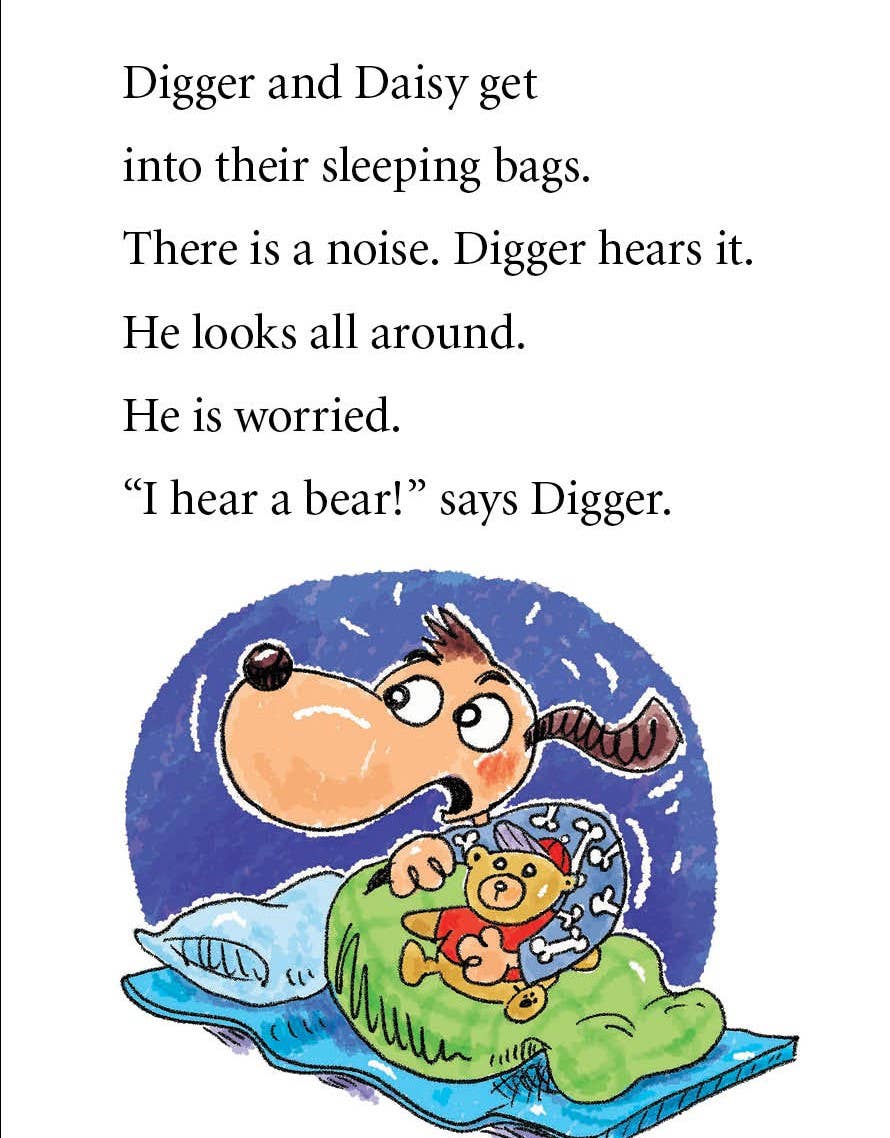 Digger and Daisy Go Camping picture book