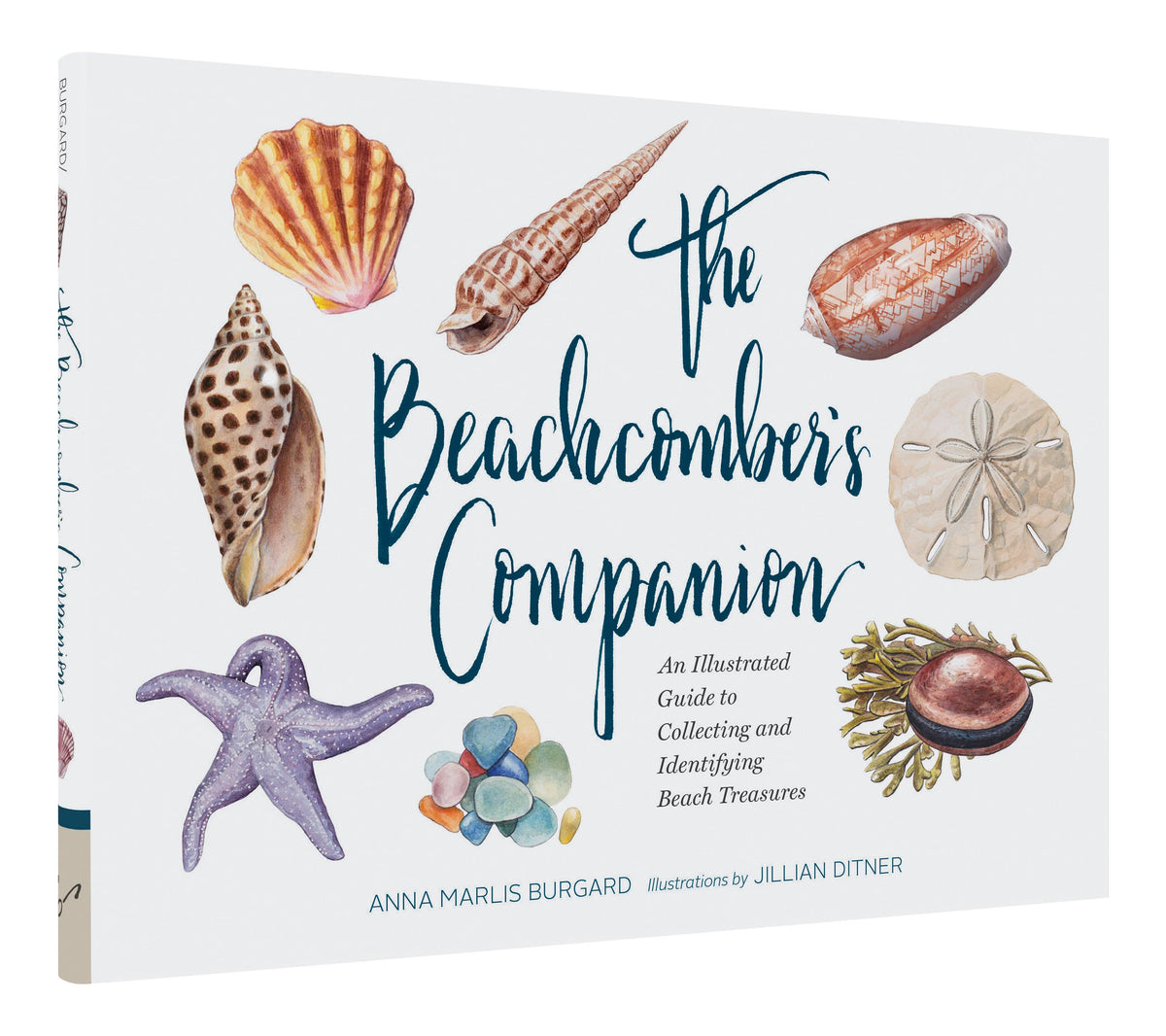 Chronicle Books - The Beachcomber's Companion
