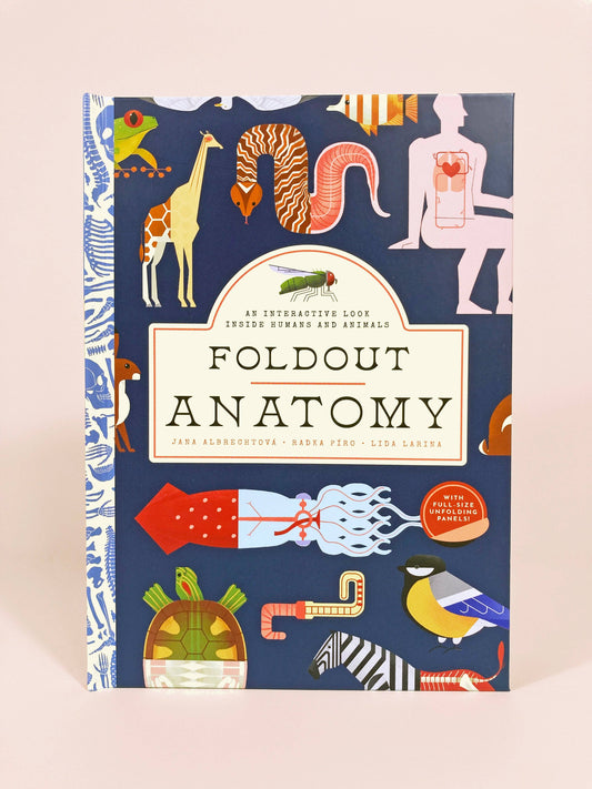 Bushel & Peck Books - Foldout Anatomy (Interactive Children's Book)