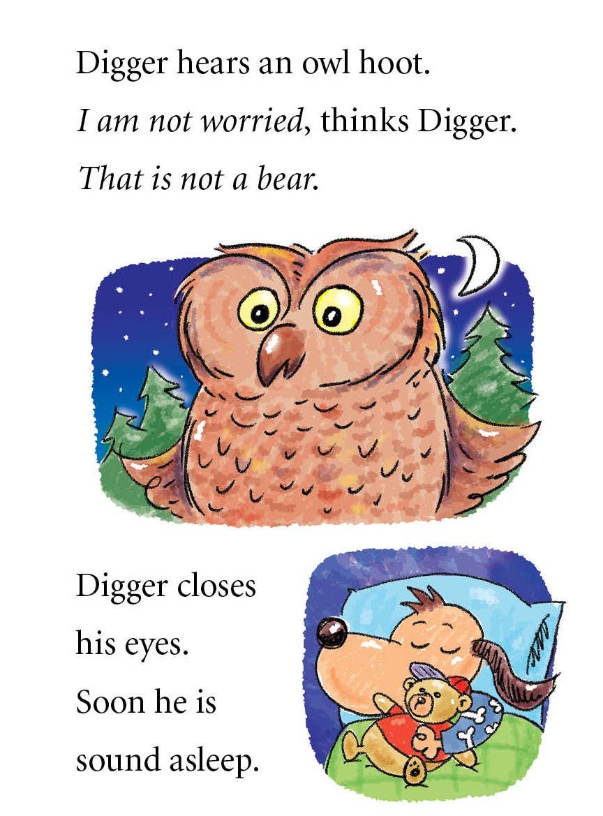 Digger and Daisy Go Camping picture book