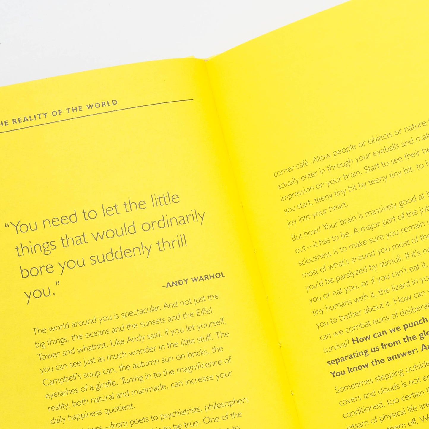 Chronicle Books - How Art Can Make You Happy