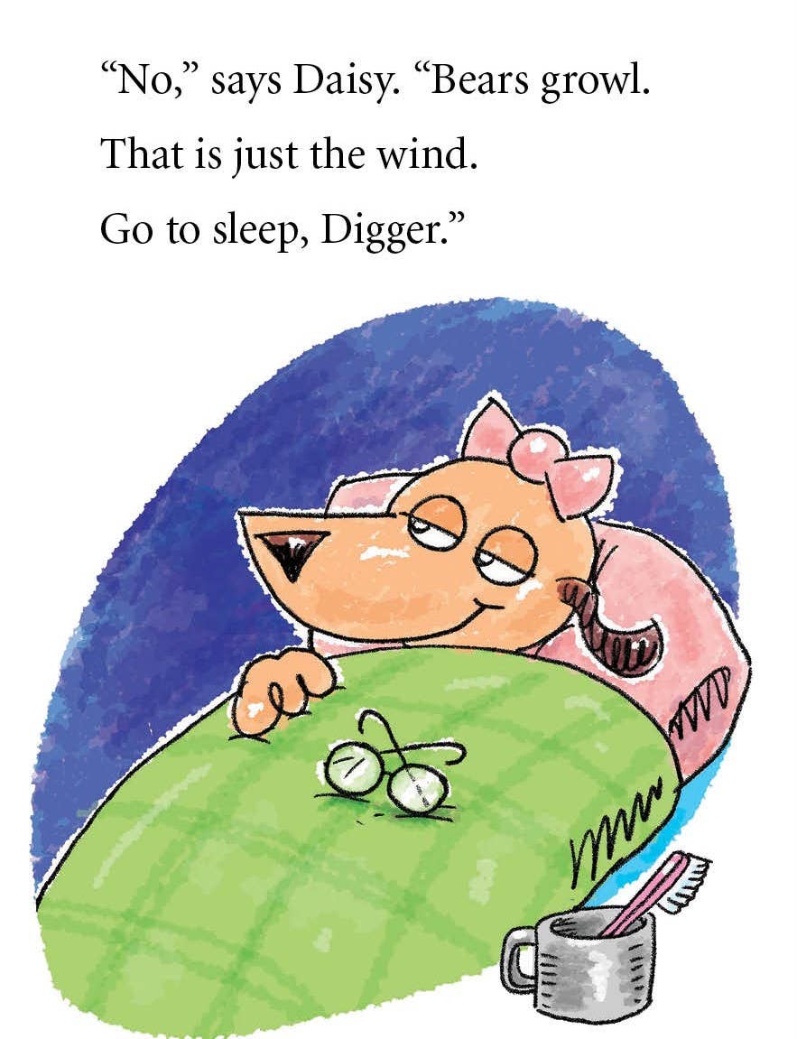 Digger and Daisy Go Camping picture book