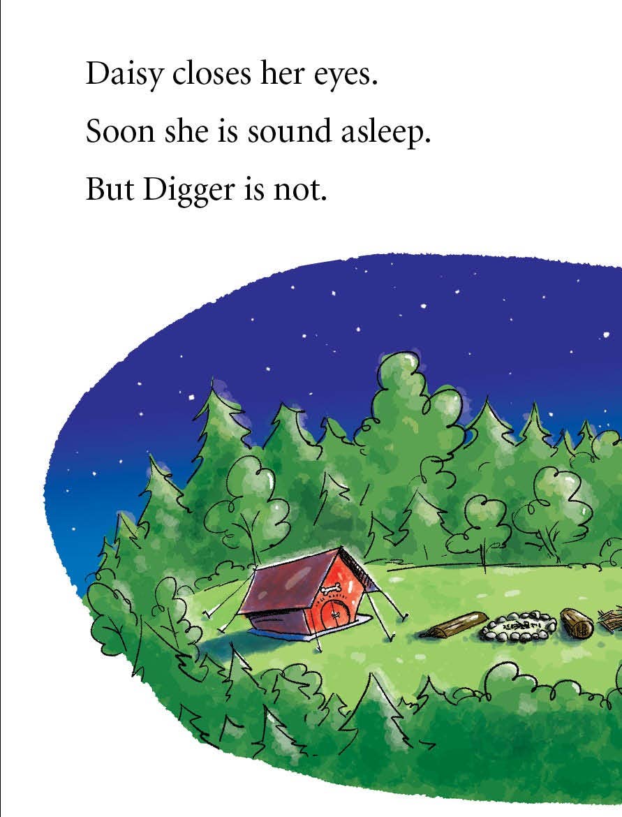 Digger and Daisy Go Camping picture book