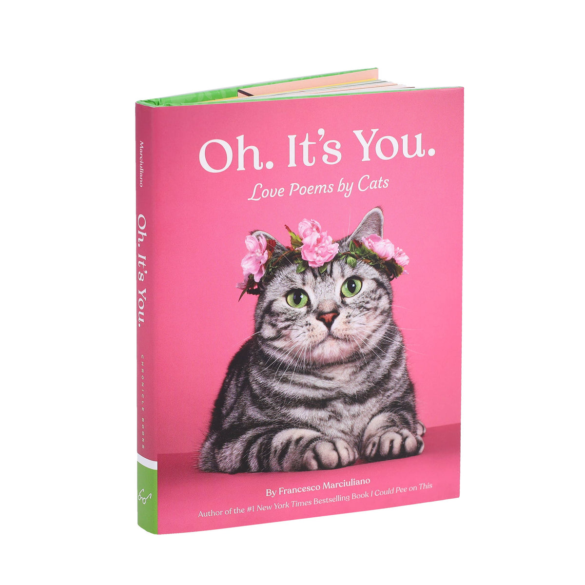 Chronicle Books - Oh. It's You.