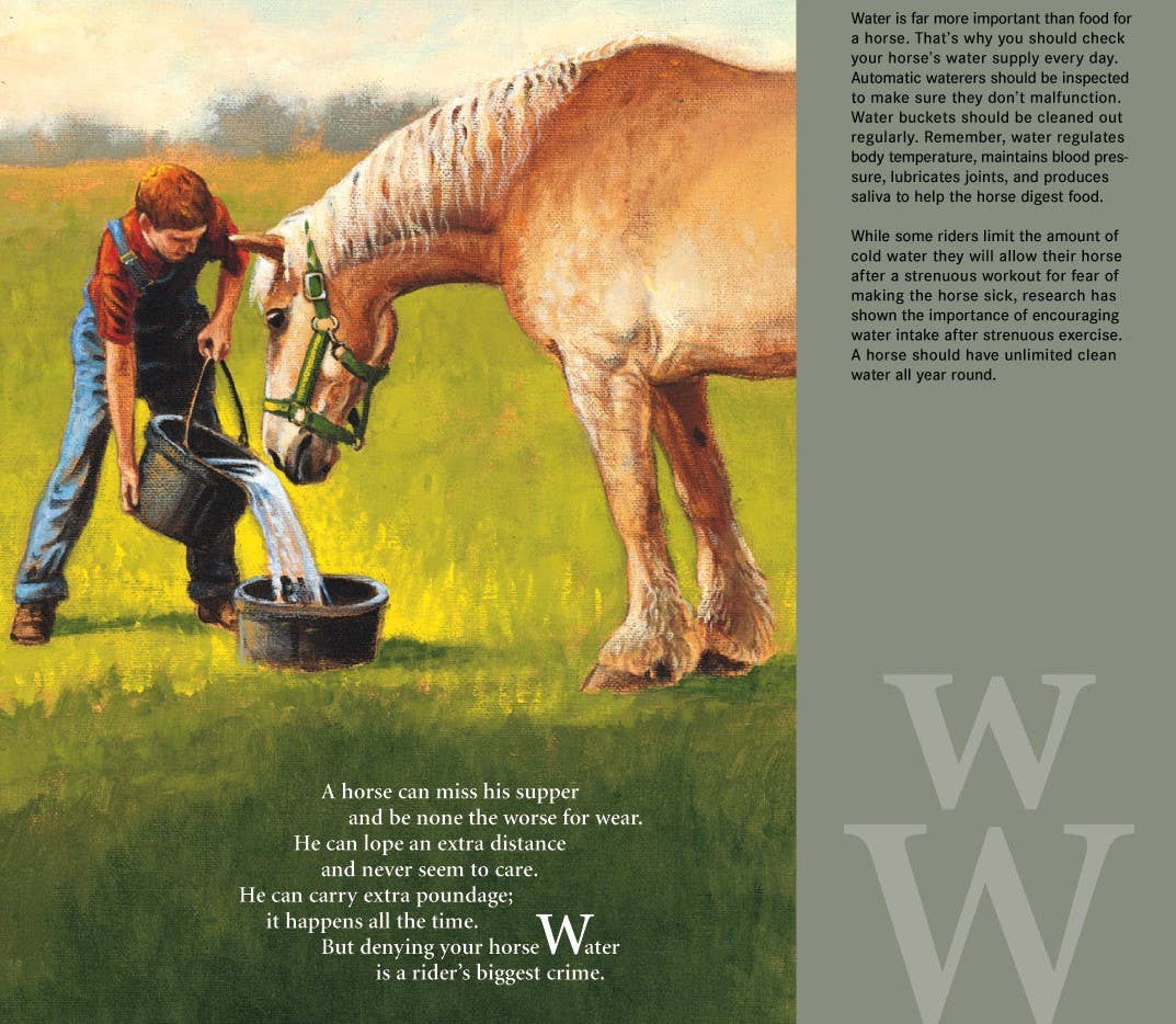 H is for Horse: An Equestrian Alphabet picture book