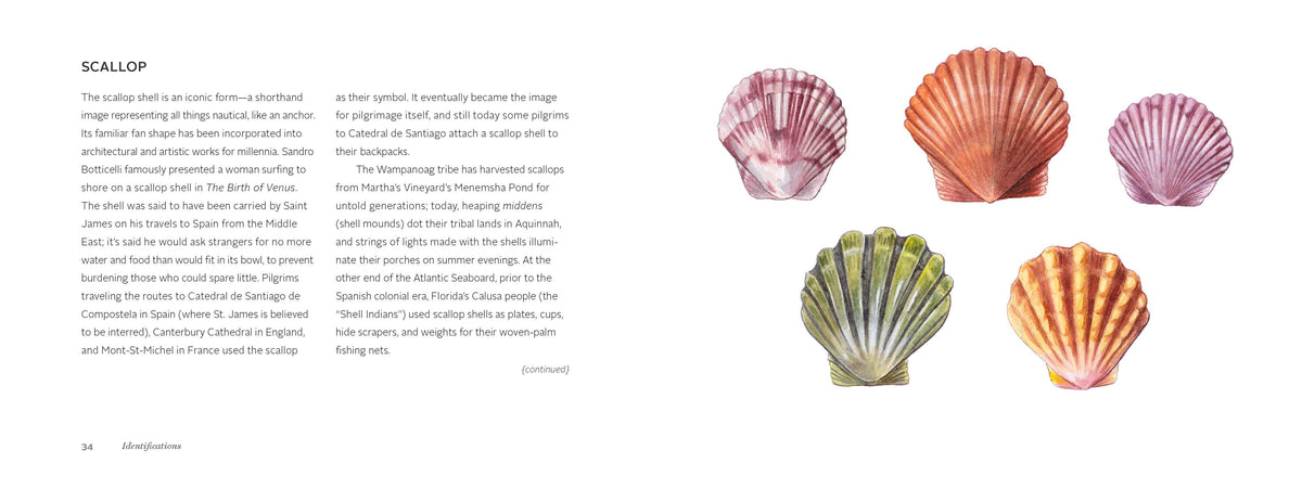 Chronicle Books - The Beachcomber's Companion
