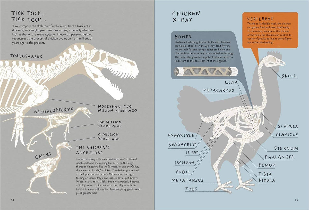 Chronicle Books - Chickenology