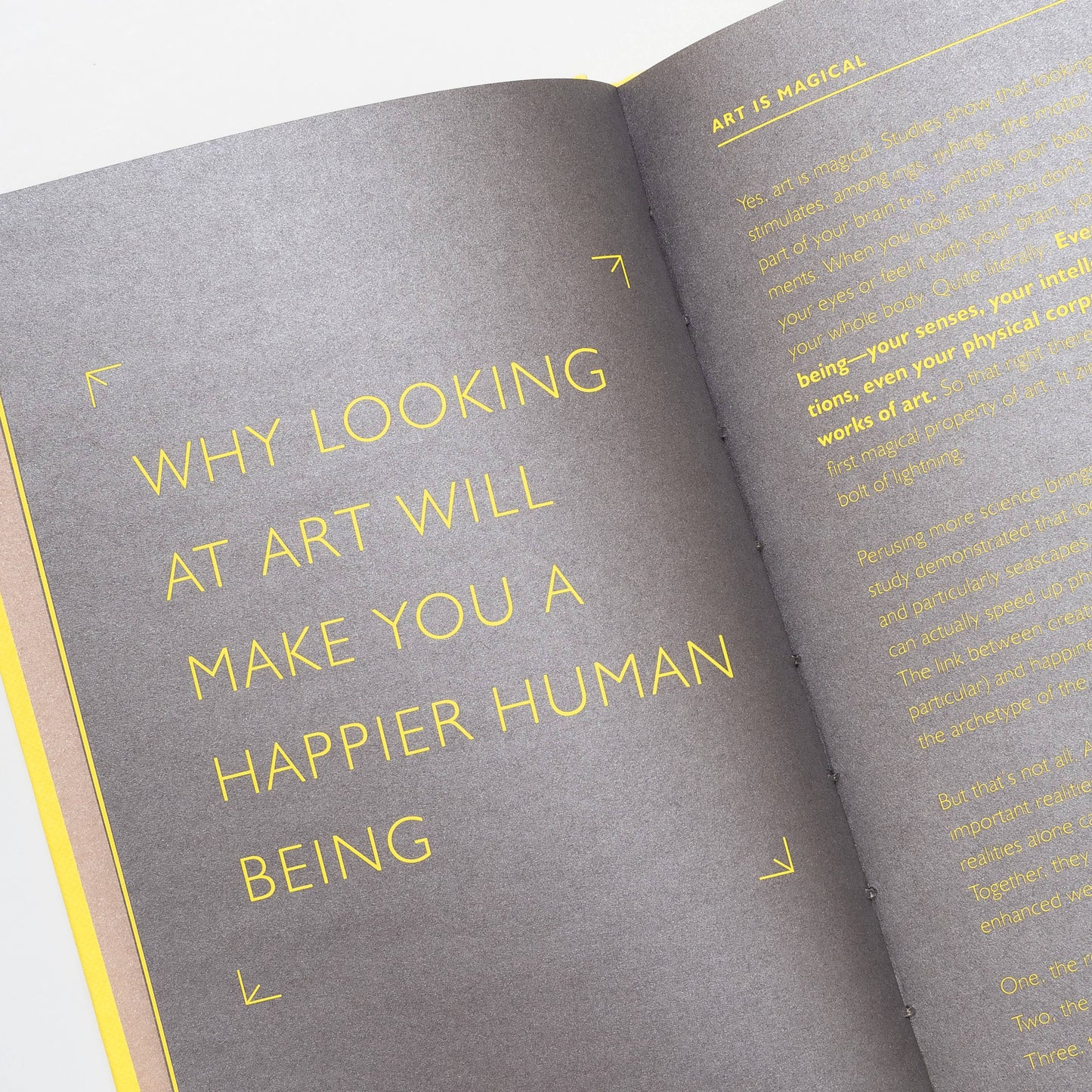 Chronicle Books - How Art Can Make You Happy
