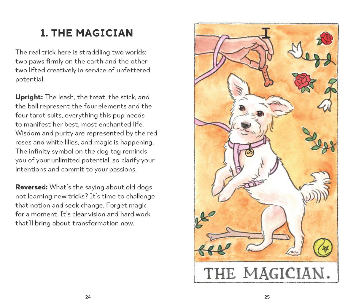 Chronicle Books - Dog Tarot