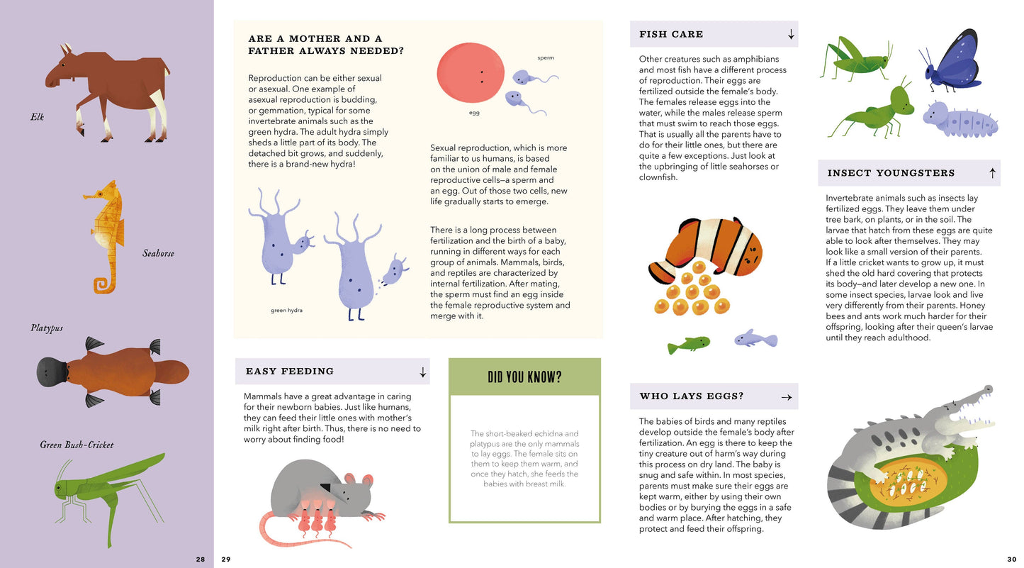 Bushel & Peck Books - Foldout Anatomy (Interactive Children's Book)