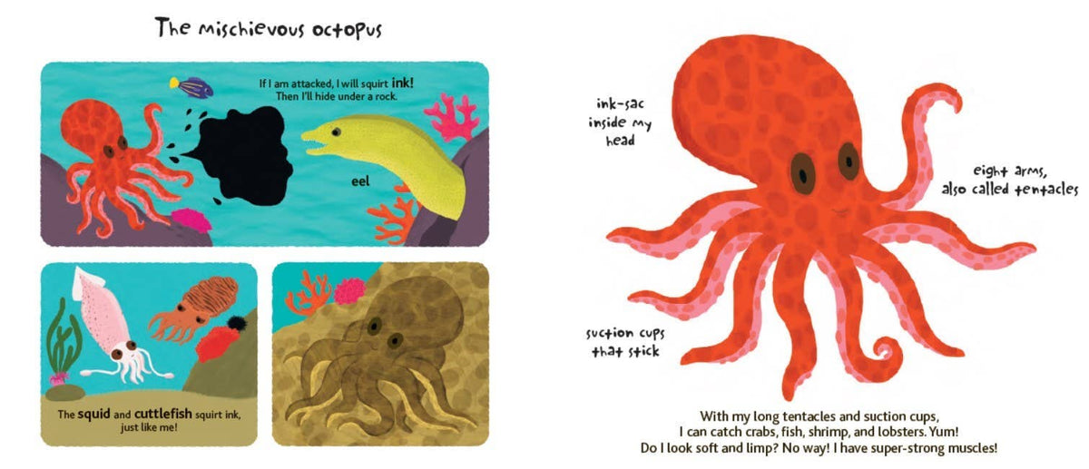Chronicle Books - Touch and Explore: The Ocean