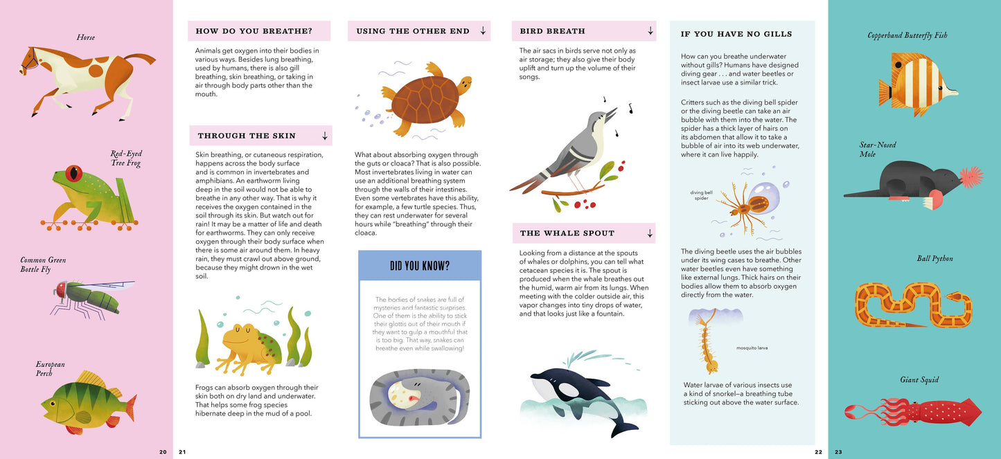 Bushel & Peck Books - Foldout Anatomy (Interactive Children's Book)