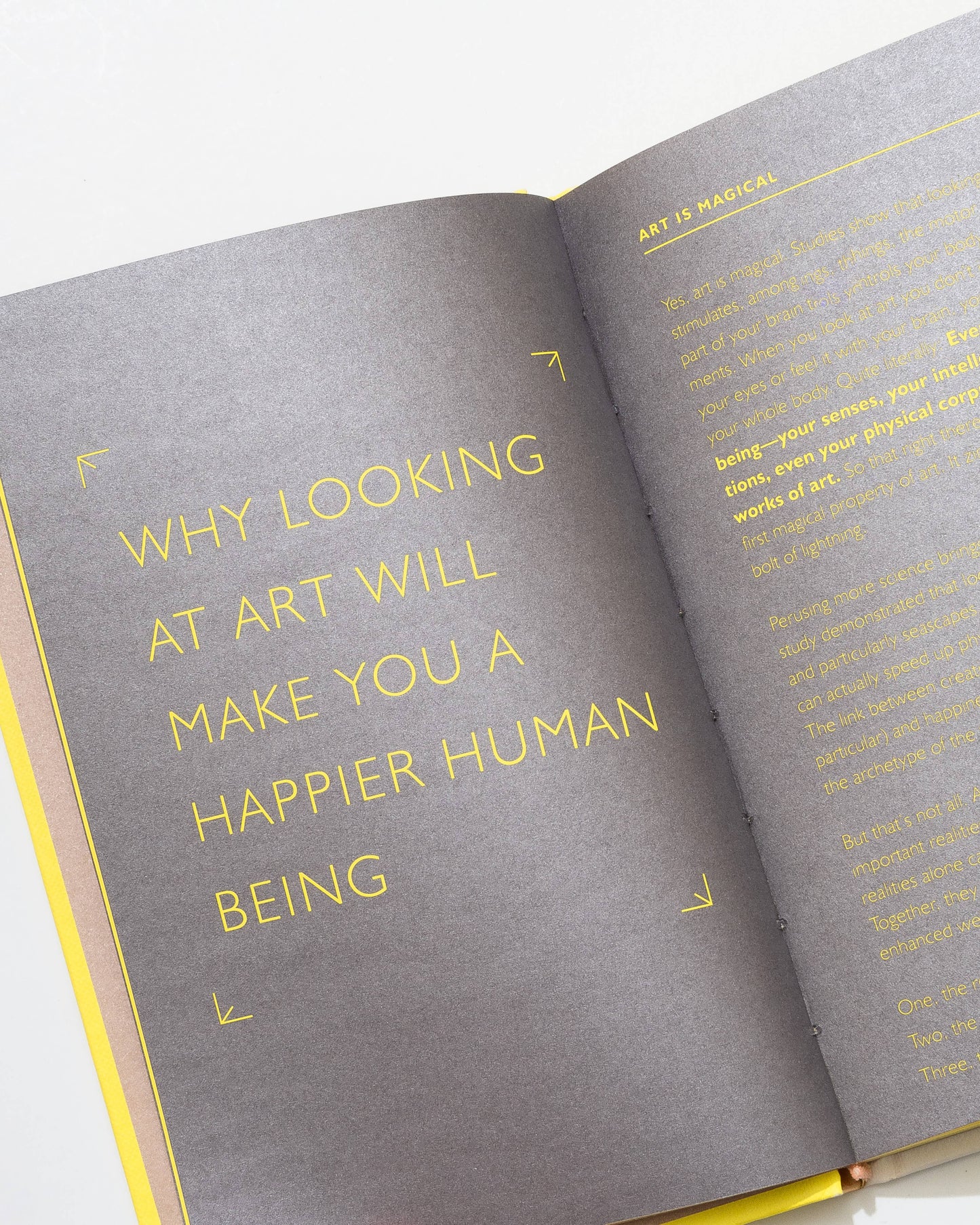 Chronicle Books - How Art Can Make You Happy