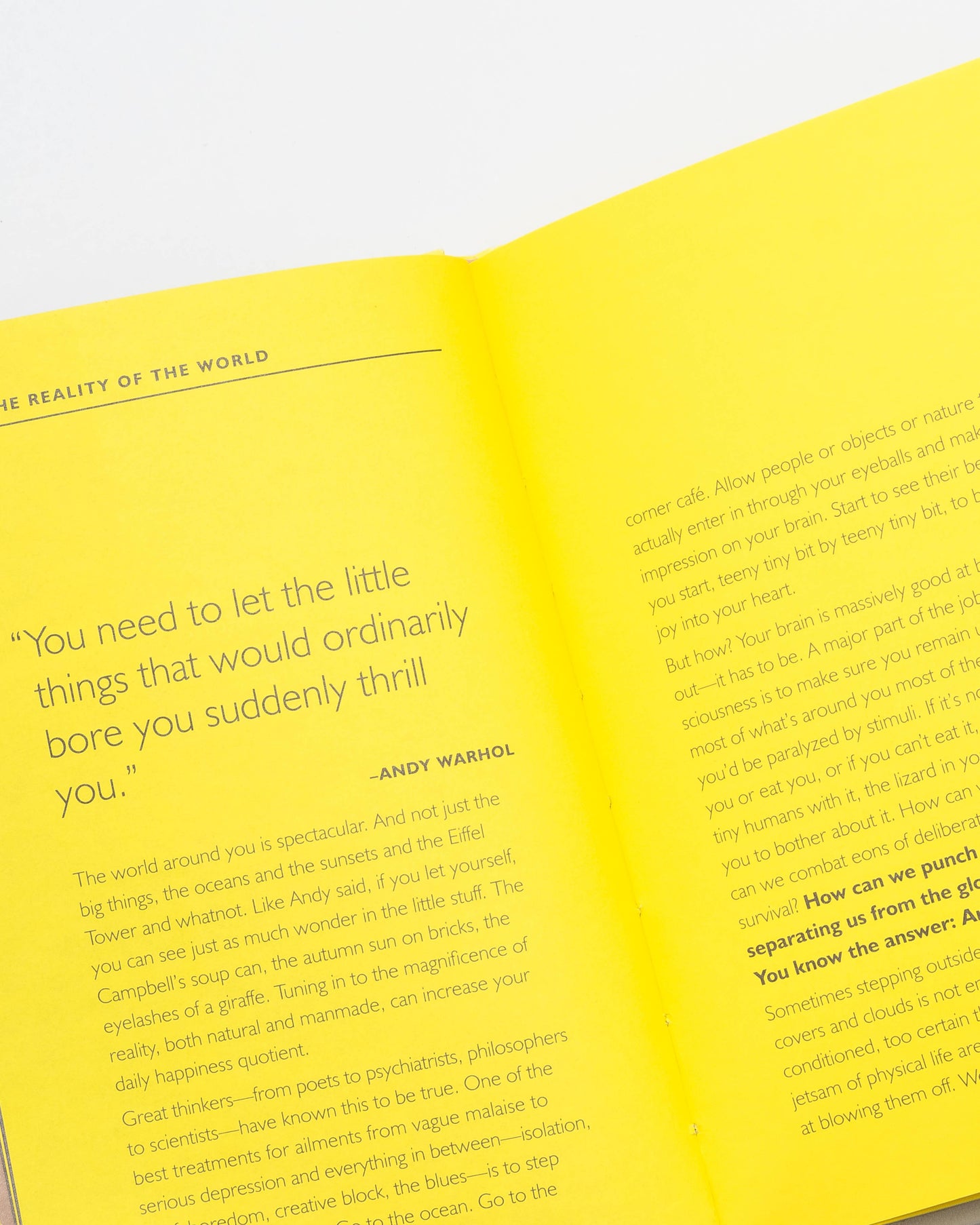 Chronicle Books - How Art Can Make You Happy
