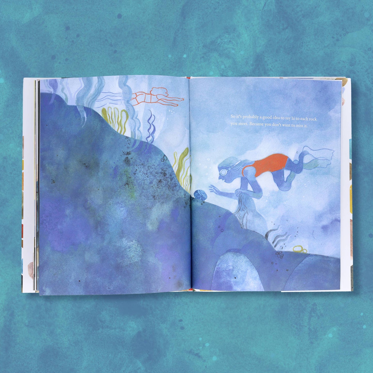 Chronicle Books - When You Find the Right Rock