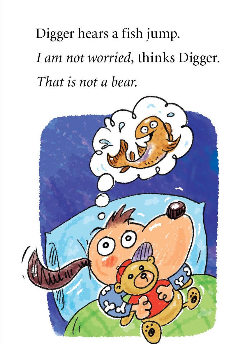 Digger and Daisy Go Camping picture book