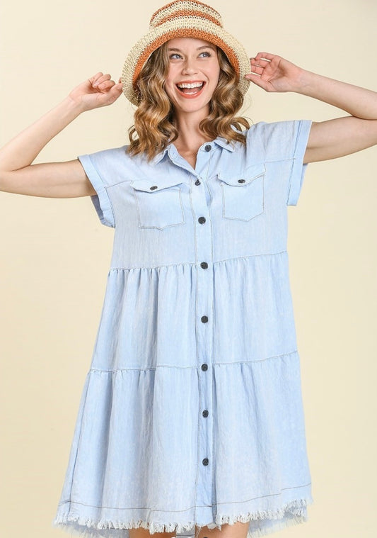 Snow Denim Button Down Dress